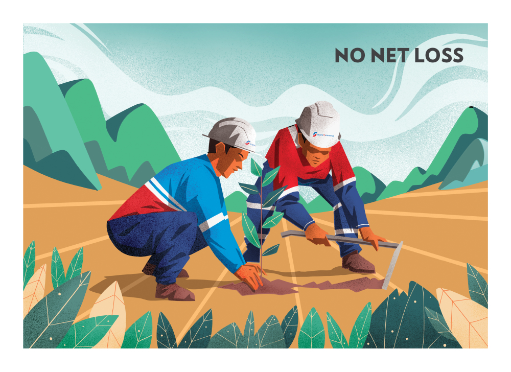 NO NET LOSS